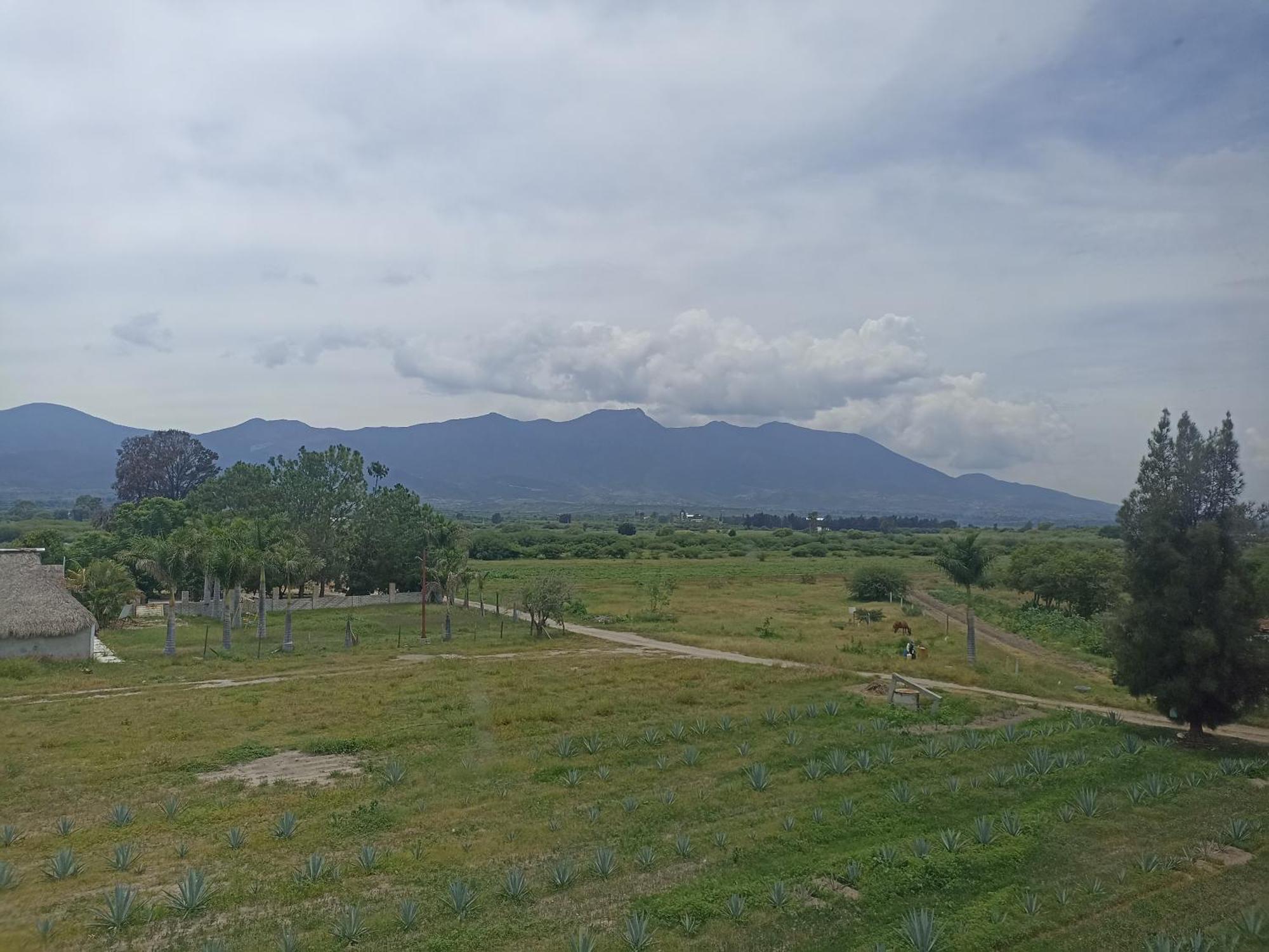 Отель Don Pedrillo Oaxaca Экстерьер фото