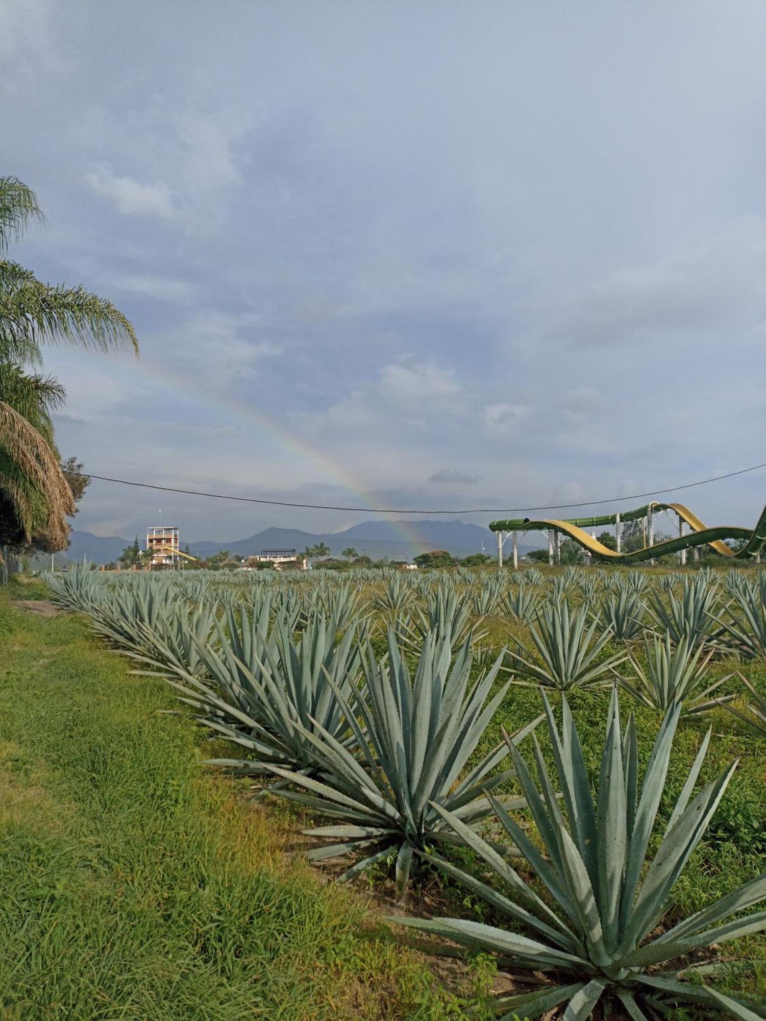 Отель Don Pedrillo Oaxaca Экстерьер фото